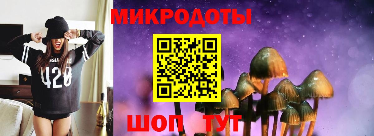 Псилоцибиновые грибы Cubensis Тюмень
